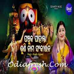 Panchuka Pahanta Suni Nama Sankirtana